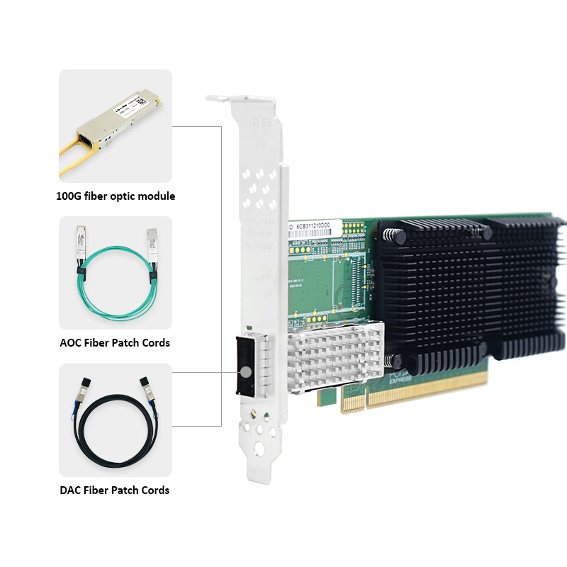 LR-LINK 1019PF-QSFP28 PCIe x16 - 100Gbe Qsfp28 Network Card review and price